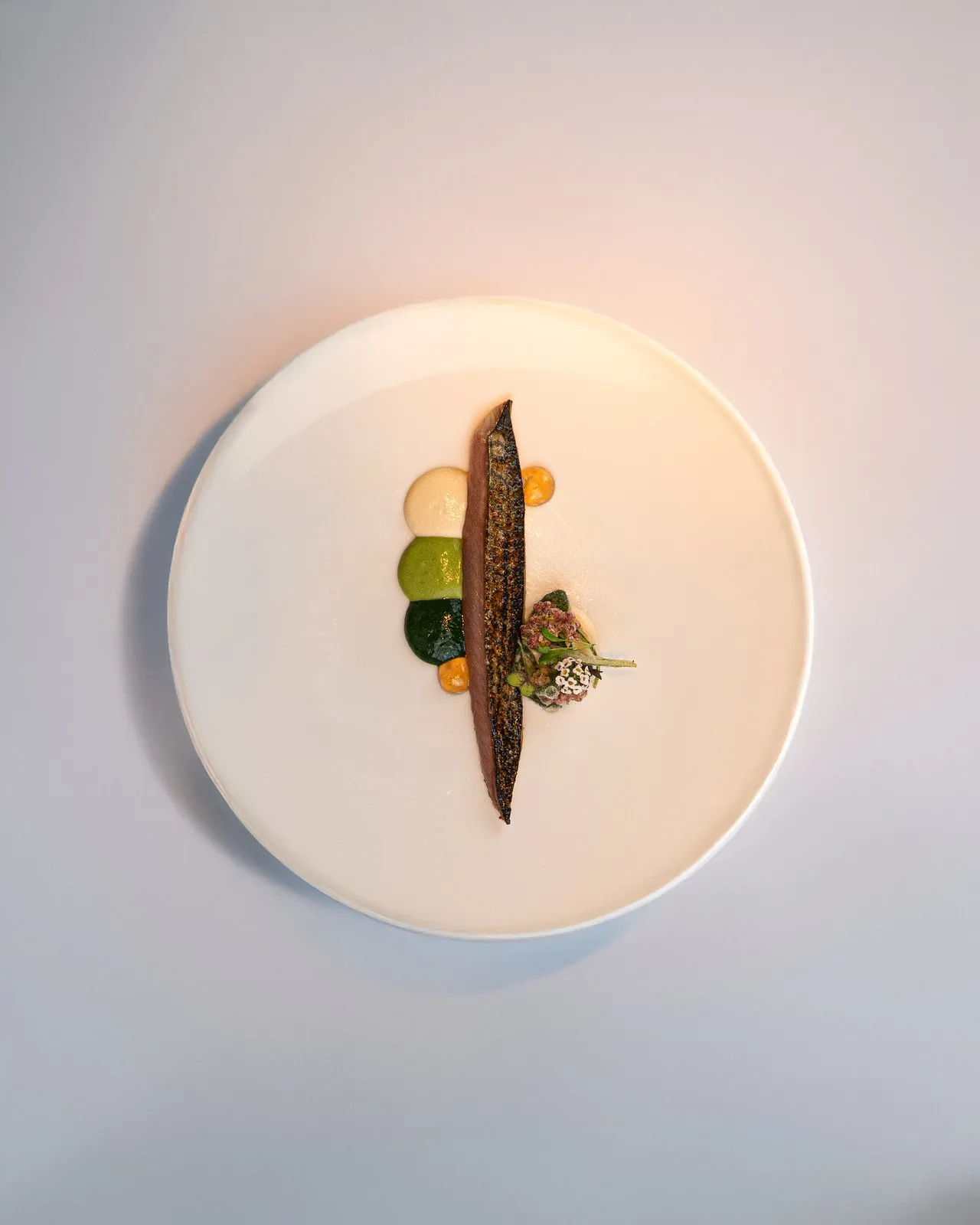 Hôtel La Ponche — fish, plated